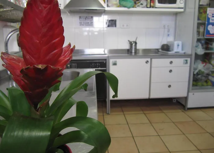 Mellow ECO Hostel Barcelona